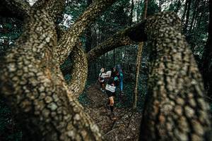 BIB: 
                            <button type="button" onclick="openModal(25392959)" class="btn btn-primary btn-sm float-right btn-popup" data-toggle="modal" data-target=".modal-high-quality">
                        <i class="fas fa-shopping-cart"></i> Add to Cart
                    </button>
                                            <button type="button" onclick="isThisMe(25392959, true)" class="btn btn-success btn-sm float-right btn-popup btn-isme hidden" data-toggle="tooltip" data-placement="bottom" title="นี่คือรูปของคุณใช่ไหม คลิกที่นี่เพื่อเอาเข้าอัลบั้ม">
                        <i class="fas fa-plus"></i> Add to album
                    </button>
                    <button type="button" onclick="isThisMe(25392959, false)" class="btn btn-warning btn-sm float-right btn-popup btn-isnotme hidden">
                        <i class="fas fa-ban"></i> Remove from album
                    </button>